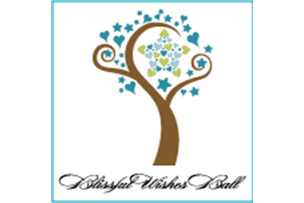 Wish Upon A Wedding Auction and Gala